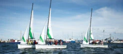 RS Sailing RS Quest -Hobie Sales Store rs sailing rs quest 4